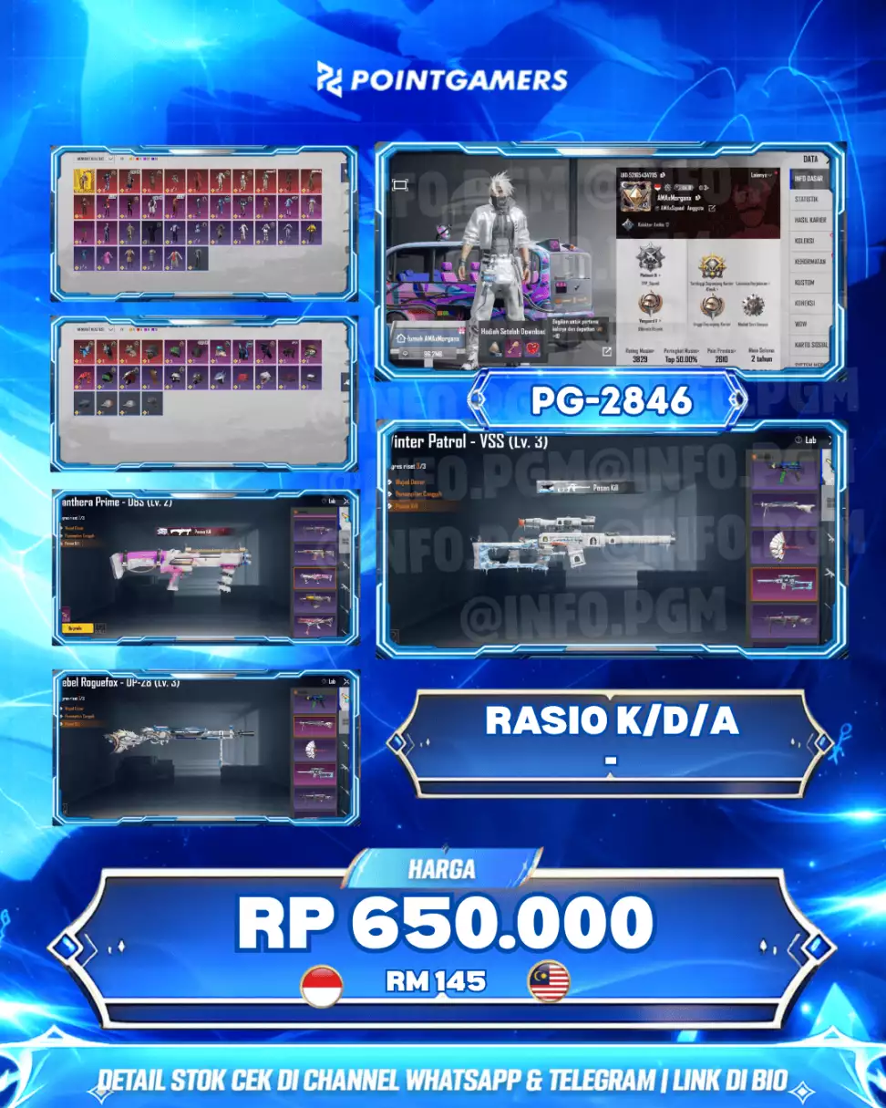 REBEL REGUEL FOX LVL MAX (DP-28), WINTER PATROL LVL MAX (VSS) 1